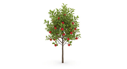 christmas tree isolated on white background