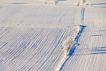 Aerial view at snowy fields and frosty line of trees