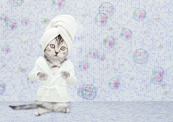 Cute kitten with towel on it head wearing bathrobe standing at bathroom at home. Empty space for text