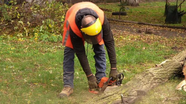 A man in protective helmet and orange vest cuts a fallen tree with a chainsaw in the park. Safety work concept, 50fps, 4K.