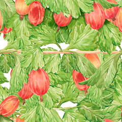 Seamless pattern with gooseberry. Watercolor hand drawn red gooseberry. Berries for tea, juice, jam, wine, sweets and eco-products, menu, scrapbooking, posters, textiles, kitchen decoration
