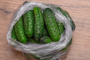 Disposable plastic bag for vegetables with cucumbers in the middle