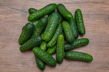 Fresh, small field cucumbers, perfect for pickling, one kilogram