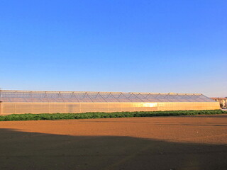 早春の西日の当たる野菜畑の温室風景
