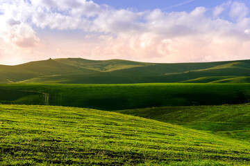 Obraz premium green spring or fummer farm field. rural landscape of countryside wirh agriculture view in farmland with beautiful cloudy sky on background