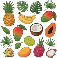 Make Tropical fruits and leaves. Exotic sweet fruits and palm leaves collection. Perfect for printing, postcards, prints and posters. Vector cartoon illustration with white Background.