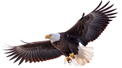 Naklejka premium Majestic bald eagle, with outstretched wings in flight against a dark void, cutout, PNG isolated on white or transparent background
