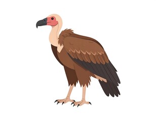 Illustration of a vulture with brown feathers and red skin