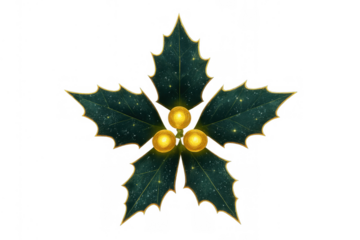 Holly leaves with golden berries, traditional christmas decoration, festive plant element, celebrating winter holidays, transparent background