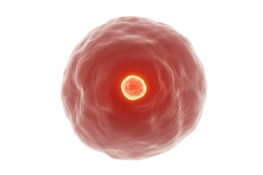 A 3D rendering of a large, irregular red cell with a glowing, yellow spherical nucleus or core at its center. background removed