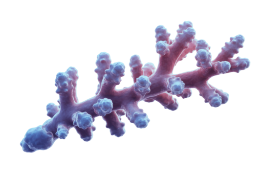 Detailed 3D render of a microscopic structure, possibly a virus or coral fragment, displaying a central stem with many bulbous, textured extensions. background removed