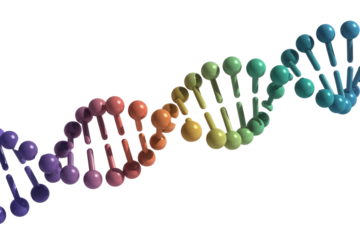 A vibrant, colorful 3D rendering of a DNA double helix, illustrating genetic structure and molecular biology on a transparent background. background removed