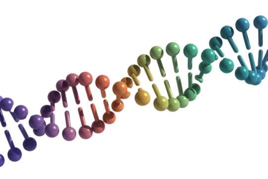 A vibrant, colorful 3D rendering of a DNA double helix, illustrating genetic structure and molecular biology on a transparent background. background removed - Powered by Adobe