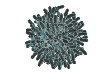 A spherical cluster of numerous grey rod-shaped bacteria or microorganisms, rendered in 3D against a solid transparent background, illustrating microscopic life forms. background removed