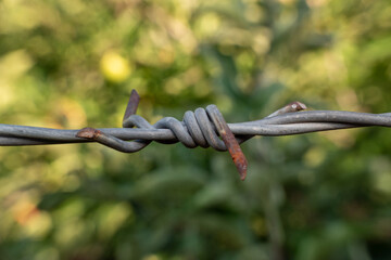 Close up of rusty barbed wire