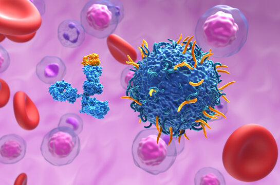 Monoclonal antibody and CAR T cell combined therapy - Closeup view 3d illustration