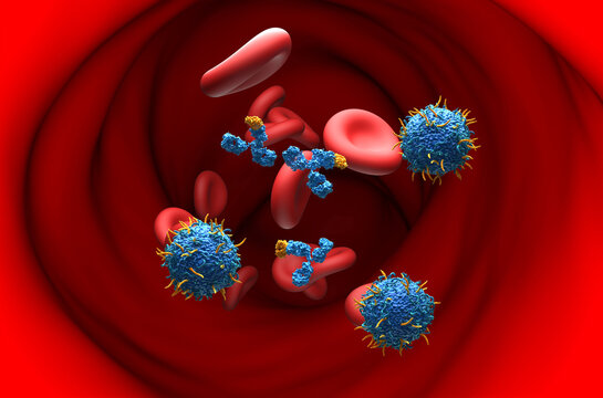 Monoclonal antibody and CAR T cell combined therapy - Section view 3d illustration