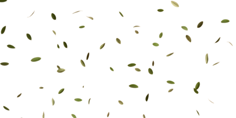 Scattered green leaves, with white outlines falling against a dark background, cutout, PNG isolated on white or transparent background