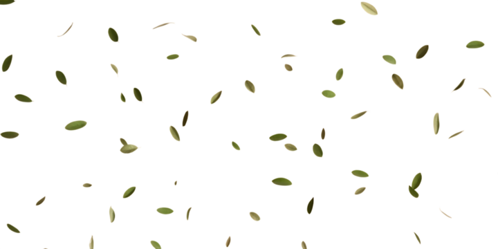 Scattered green leaves, with white outlines falling against a dark background, cutout, PNG isolated on white or transparent background