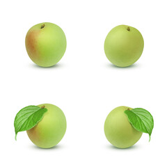 梅 梅の実 イラスト リアル