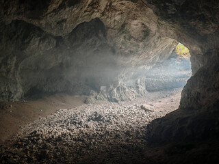 Soft sunlight and mist create a mysterious atmosphere inside the Szeleta Cave in the Bükk Mountains, one of Hungary’s most famous prehistoric archaeological sites.