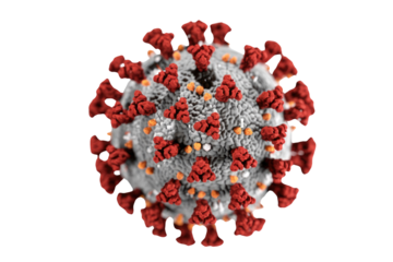 Detailed 3D rendering of the SARS-CoV-2 virus (COVID-19), showcasing its distinctive red spike proteins and textured grey surface. background removed