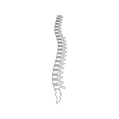 Spine Illustration