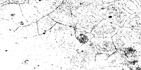 Fototapeta premium Vector dust isolated on white background and texture old film grainy noise. Grunge texture Distressed Effect. Grungy Background textured effect. Black and white Dust overlay paint, stroke, ink.