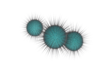 Three teal, spiky spheres resembling microorganisms or sea urchins, covered in white and black spines, against a solid transparent background. background removed