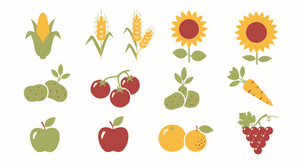 Harvest Crop Vector Illustration Corn Wheat Sunflower Tomato Apple Orange