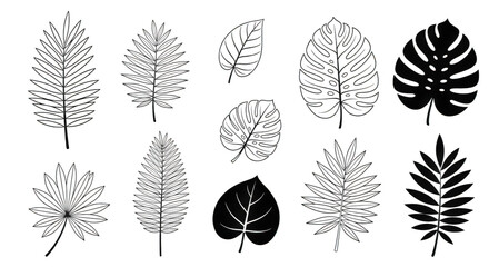 Obraz premium Collection of Diverse Leaf Silhouettes Displayed Against Black Background