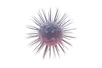 Fototapeta premium A 3D rendered microscopic particle, possibly a virus or bacteria, with numerous spiky appendages, displaying purple and pink tones against a transparent background. background removed