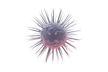 A 3D rendered microscopic particle, possibly a virus or bacteria, with numerous spiky appendages, displaying purple and pink tones against a transparent background. background removed