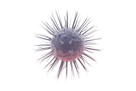 A 3D rendered microscopic particle, possibly a virus or bacteria, with numerous spiky appendages, displaying purple and pink tones against a transparent background. background removed