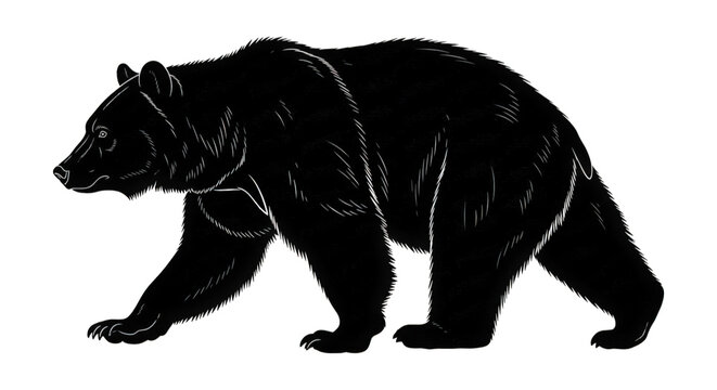 Majestic Black Bear Walking Gracefully Through a Forest Wilderness