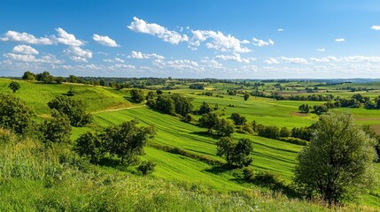 Obraz premium Lush Green Rolling Hills Under Bright Blue Sky with White Clouds