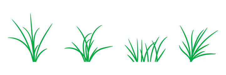 Illustration of green grasses set on white background