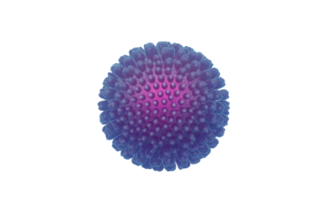 A stylized microscopic image of a spherical virus or cell, featuring a vibrant blue, spiky outer layer and a bright pink core. background removed