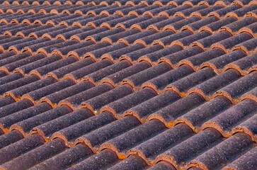 Close up of Weathered Clay Roof Tiles with Rustic Texture.