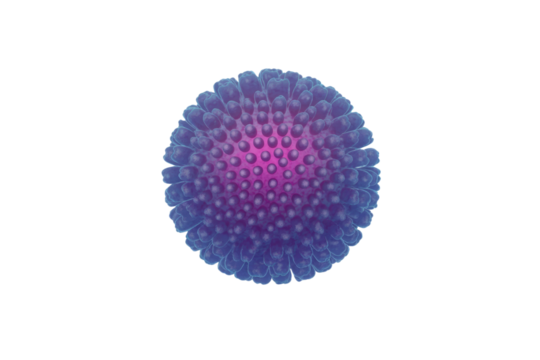 A stylized microscopic image of a spherical virus or cell, featuring a vibrant blue, spiky outer layer and a bright pink core. background removed