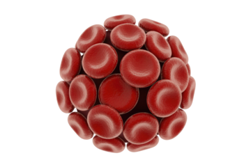 A 3D rendering depicts a spherical cluster of red blood cells, highlighting their characteristic biconcave disc shape, against a transparent background. background removed