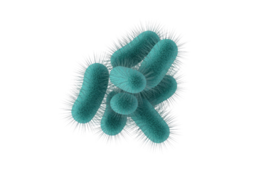A 3D rendering of multiple rod-shaped bacteria with hair-like pili, clustered together. Illustrates microbiology, pathogens, and microscopic life forms. background removed