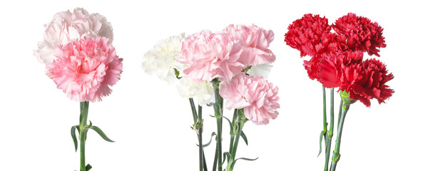 Three separate bouquets of fresh carnations in vibrant colors: deep red, various shades of pink,...