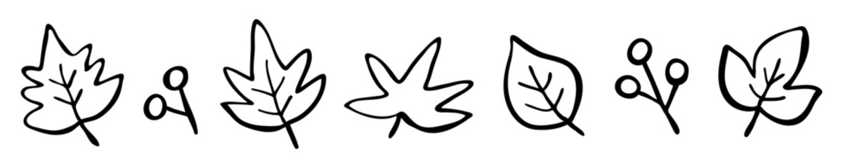 Hand Drawn Autumn Leaves and Berries Line Art