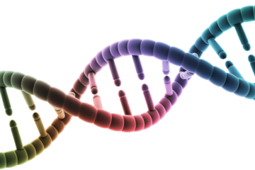 Vibrant 3D rendering of a DNA double helix, showcasing its iconic spiral structure with a captivating color gradient against a solid transparent background. background removed
