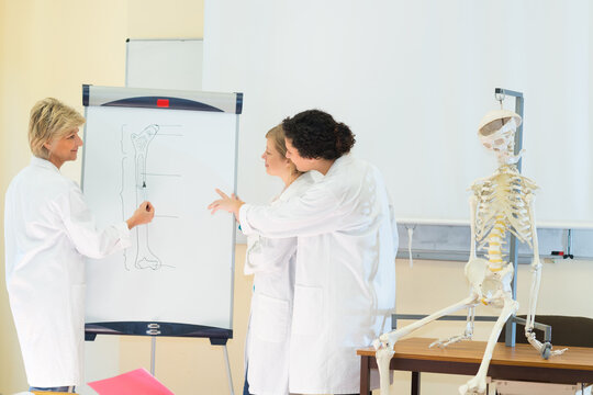 woman in a school laboratory in chemistry biology class