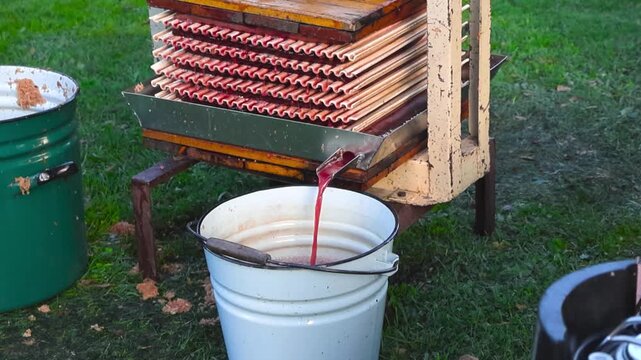 Apple and chokeberry juice being pressed by a apple press in a countryside home garden with juice flowing out and pouring into a bucket in slow motion. 