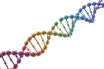 A vibrant 3D DNA double helix, showing a gradient of colors, against a solid transparent background, symbolizing genetics and life. background removed