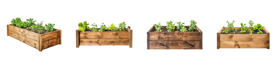 Wooden raised garden beds with vegetables herbs in varying lighting