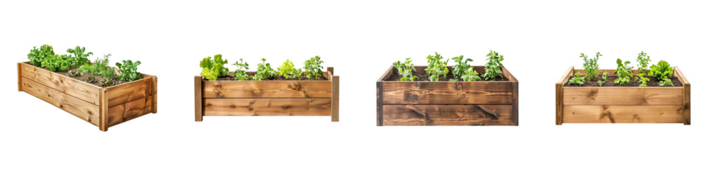 Wooden raised garden beds with vegetables herbs in varying lighting